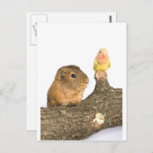 Guinea Postkarte (Vorne/Hinten)