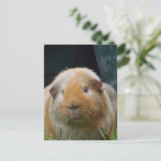 Guinea Postkarte (Stehend Vorderseite)