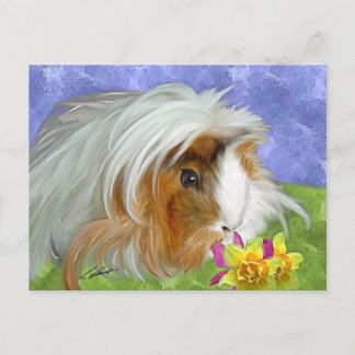 Guinea Postkarte