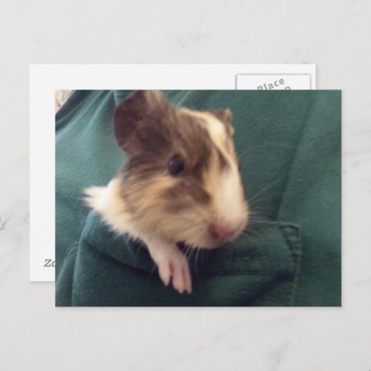 Guinea Postkarte (Vorne/Hinten)