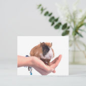 Guinea Postkarte (Stehend Vorderseite)