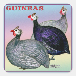 Guinea Quadratischer Aufkleber