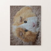 Guinea Rot und Weiß Puzzle (Vertikal)