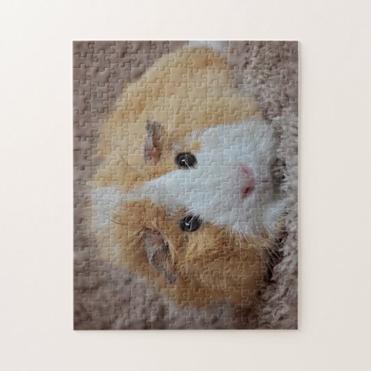 Guinea Rot und Weiß Puzzle (Vertikal)