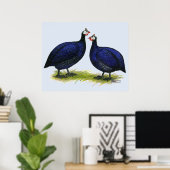 Guinea Royal Lila Pair Poster (Heimbüro)