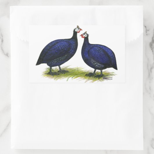 Guinea Royal Lila Pair Rechteckiger Aufkleber (Tasche)