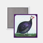 Guinea Royal Lila und Sky Magnet (Vorderseite/Rückseite)