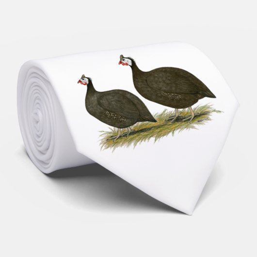 Guinea: Schokolade Krawatte (Gerollt)