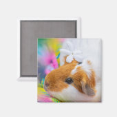 Guinea-Schwein-5924328 Magnet (Vorderseite/Rückseite)