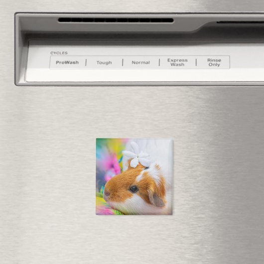 Guinea-Schwein-5924328 Magnet (In Situ (Geschirrspüler))