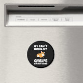 Guinea Schwein bei Überhöhung Magnet (In Situ (Geschirrspüler))