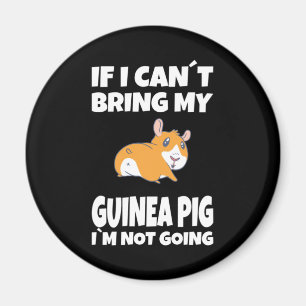 Guinea Schwein bei Überhöhung Magnet