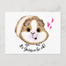 Guinea Schwein es ist Guinea ok