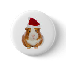 Guinea Schwein im Hut des Weihnachtsmannes