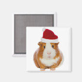 Guinea Schwein im Hut des Weihnachtsmannes Magnet (Vorderseite/Rückseite)
