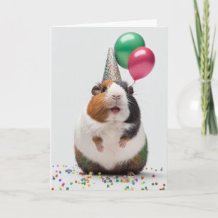 Guinea Schwein mit Party Hat Grußkarte Karte