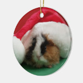 Guinea Schwein Weihnachtsschmuck (Links)