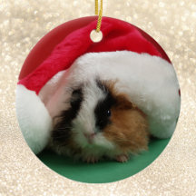 Guinea Schwein Weihnachtsschmuck