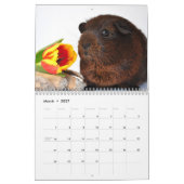 Guinea Schweine 2016 Kalender (Mär 2027)