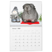 Guinea Schweine 2016 Kalender (Jan 2027)