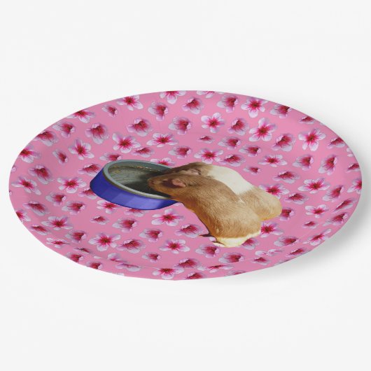 Guinea Schweine auf rosa Blüten, Pappteller (Schrägansicht)