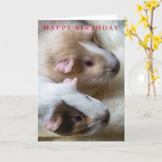 Guinea Schweine Geburtskarte Karte (Gelbe Blume)