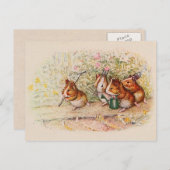 Guinea Schweine im Garten pflanzen Postkarte (Vorne/Hinten)