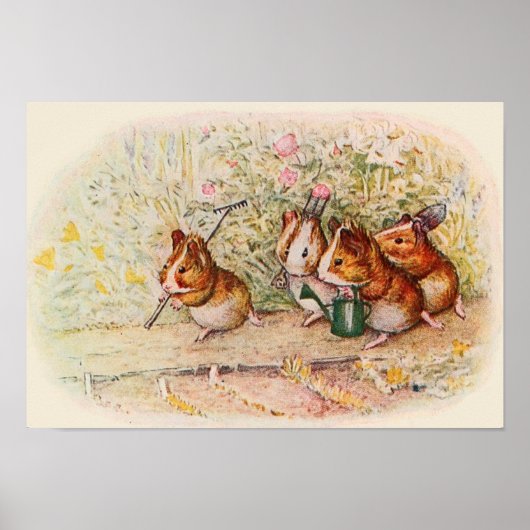 Guinea Schweine im Garten Poster (Vorne)