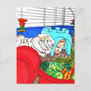 Guinea Schweine in einem Käfig Postkarte
