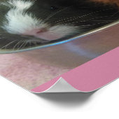 Guinea Schweine in Spielzeugpfanne Poster (Ecke)