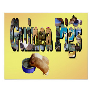 Guinea Schweine ist das Wort, Poster
