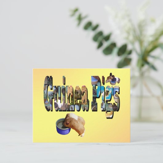Guinea Schweine ist das Wort, Postkarte (Stehend Vorderseite)