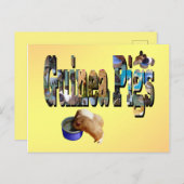 Guinea Schweine ist das Wort, Postkarte (Vorne/Hinten)