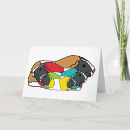 Guinea Schweine Karte