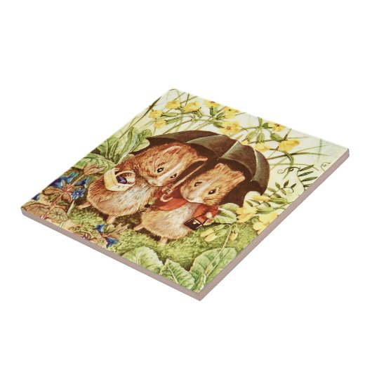 Guinea Schweine kaufen bei Beatrix Potter Fliese (Seite)