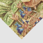 Guinea Schweine kaufen bei Beatrix Potter Seidenpapier (Detail)