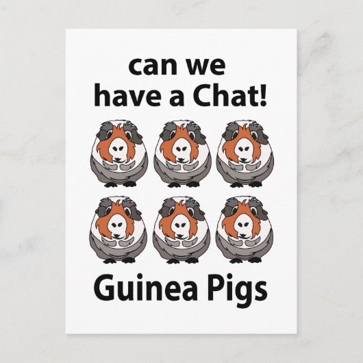Guinea Schweine können wir einen Chat Helle Guinea Postkarte (Vorderseite)