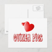 Guinea Schweine Postkarte (Vorne/Hinten)