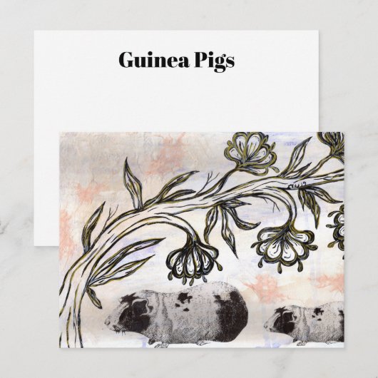 Guinea Schweine Postkarte (Vorne/Hinten)
