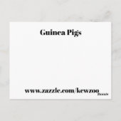 Guinea Schweine Postkarte (Rückseite)