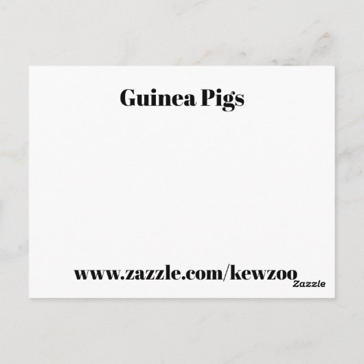Guinea Schweine Postkarte (Rückseite)