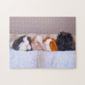 Guinea Schweine Puzzle (Horizontal)