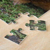 Guinea Schweine Puzzle (Seite)