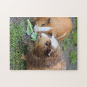 Guinea Schweine Puzzle (Horizontal)