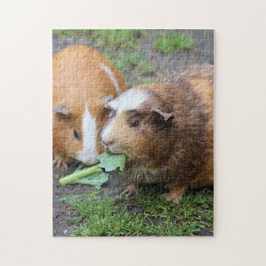 Guinea Schweine Puzzle (Vertikal)