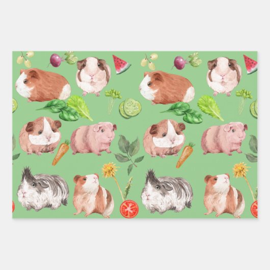 Guinea Schweine Umhüllungspapier Flachblatt Set 3 Geschenkpapier Set (Vorderseite 3)