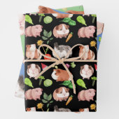 Guinea Schweine Umhüllungspapier Flachblatt Set 3 Geschenkpapier Set (Beispiel)