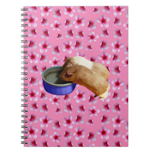 Guinea Schweine und Blüten, Notizblock