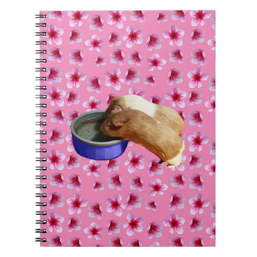 Guinea Schweine und Blüten, Notizblock (Vorderseite)