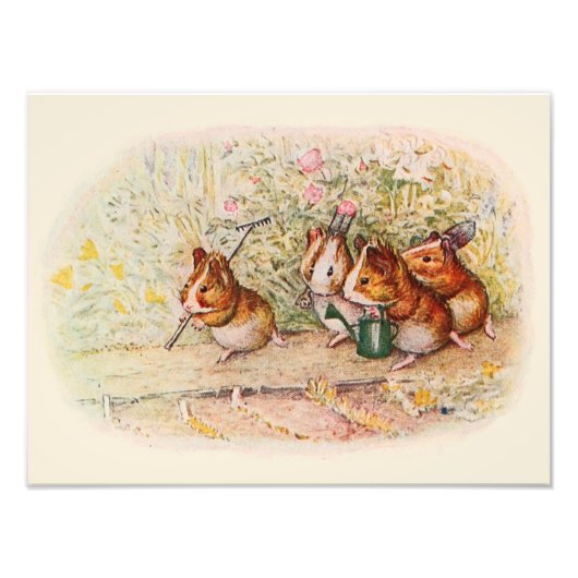 Guinea Schweine und Gartenwerkzeuge Fotodruck (Vorne)